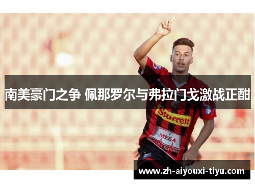 南美豪门之争 佩那罗尔与弗拉门戈激战正酣