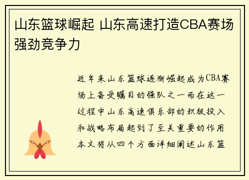 山东篮球崛起 山东高速打造CBA赛场强劲竞争力